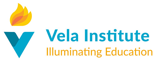 Vela Institute logo